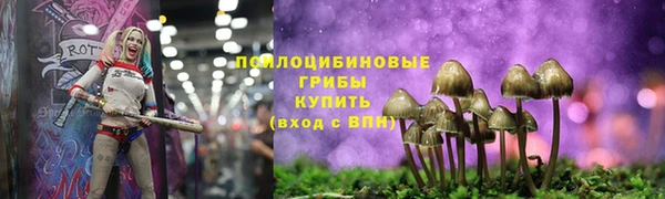 бутират Богданович