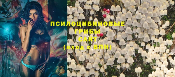 ГАЛЛЮЦИНОГЕННЫЕ ГРИБЫ Богородицк