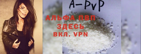 шишки Белоозёрский