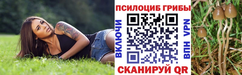 Галлюциногенные грибы мухоморы  Северск 